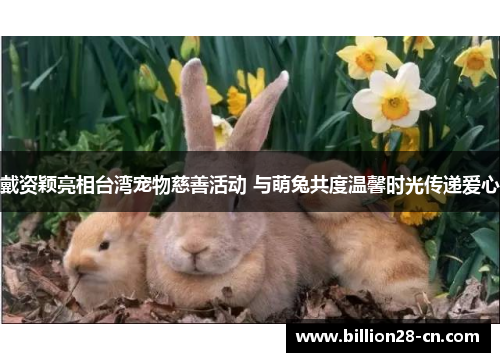 戴资颖亮相台湾宠物慈善活动 与萌兔共度温馨时光传递爱心