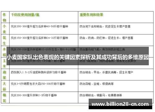 小麦国家队出色表现的关键因素探析及其成功背后的多维原因