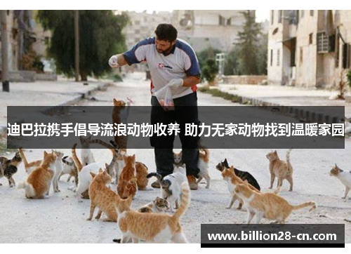 迪巴拉携手倡导流浪动物收养 助力无家动物找到温暖家园